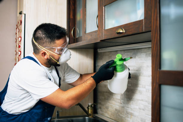 Best Cockroach Control Services  in Ridgecrest, CA