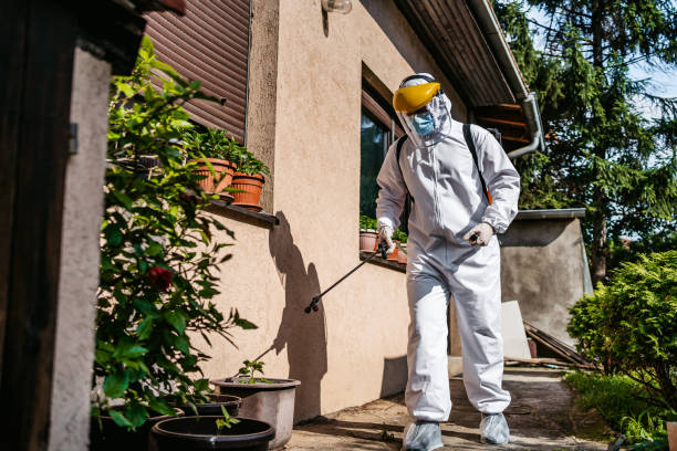 Best Best Pest Control Companies  in Ridgecrest, CA
