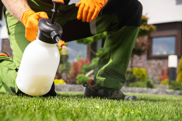 Best Pest Inspection Near Me  in Ridgecrest, CA