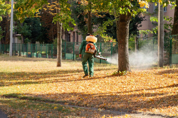 Best Affordable Pest Control Services  in Ridgecrest, CA