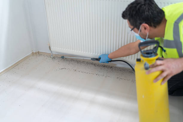 Best Pest Removal Services  in Ridgecrest, CA