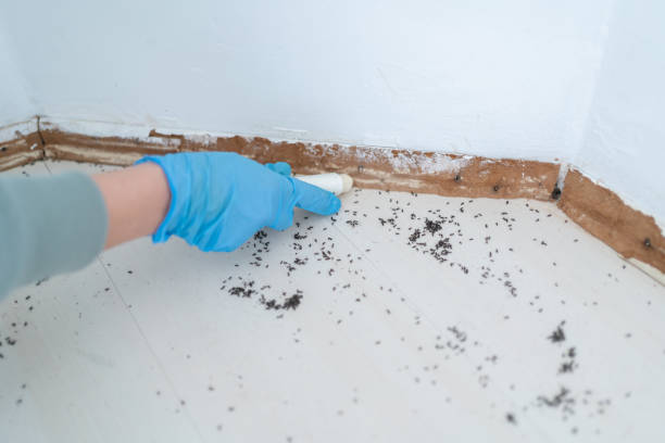 Pest Control Cost in Ridgecrest, CA