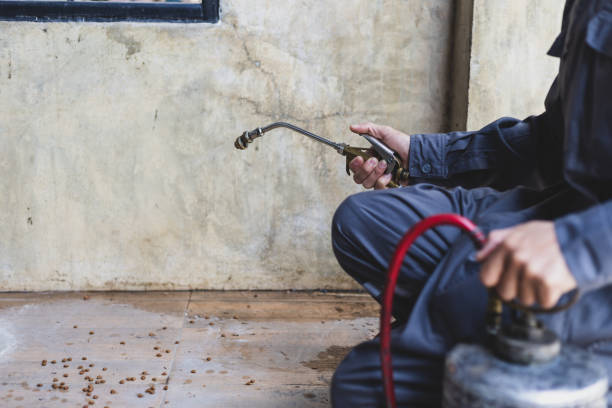 Best Best Pest Control Companies  in Ridgecrest, CA