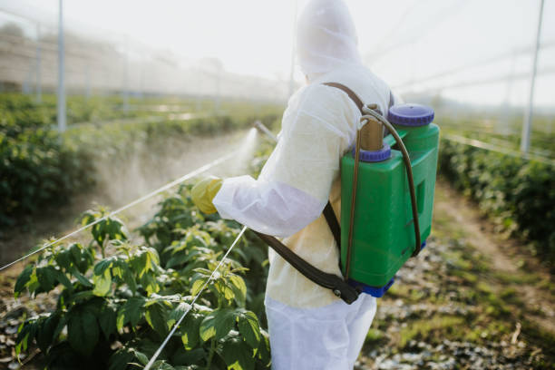 Professional Pest Control in Ridgecrest, CA